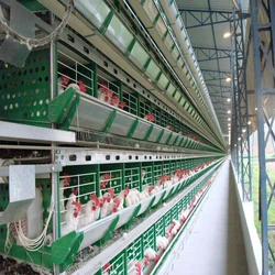 Layer Battery Cage