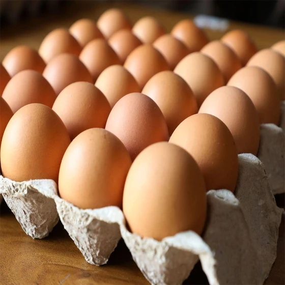 brown-eggs-1.webp