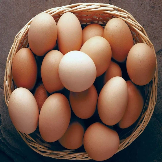 brown-eggs-2.webp