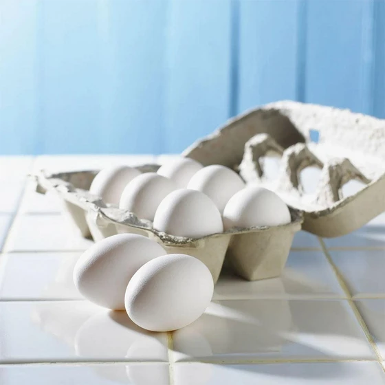 broiler-fresh-egg-2.webp