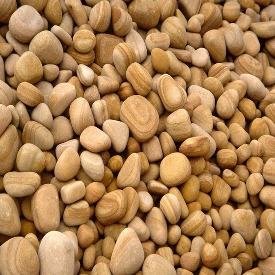 teakwood-forest-pebbles-2.webp