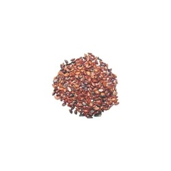  Hybrid Amla Seeds