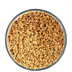 Kalmegh Hybrid Seeds
