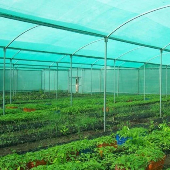 shade-net-house-2.webp
