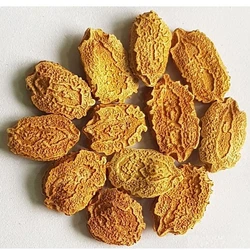 Bitter Gourd Seeds