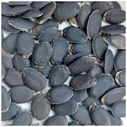 Sponge Gourd Seeds