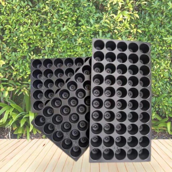 plastic-seedling-tray-2.webp