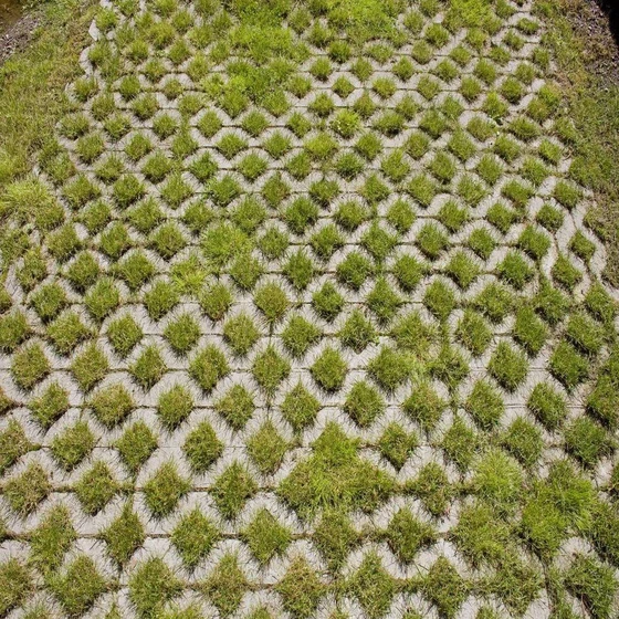 grass-concrete-paver-2.webp