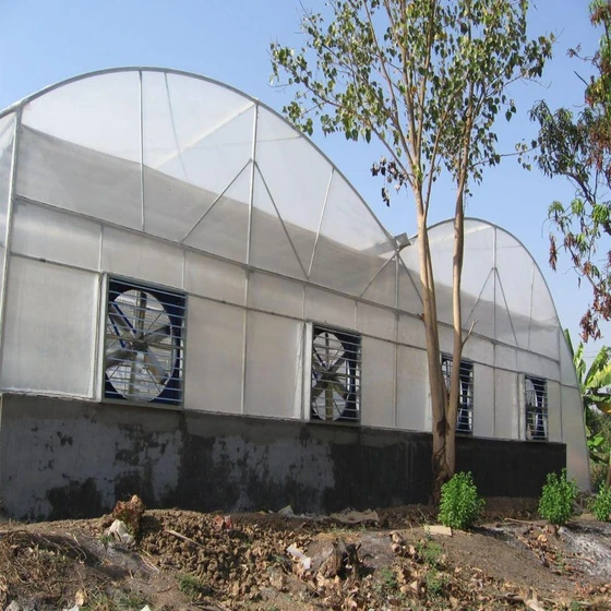 pad-poly-house-2.webp