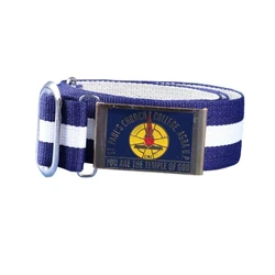 School Blue Belt