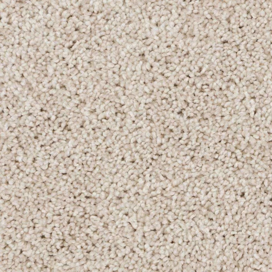 cut-pile-carpet-1.webp