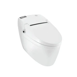 Floor Mounted Toilet Seat