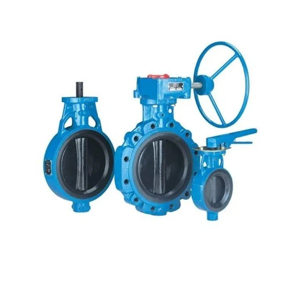 ci-butterfly-valve-2.webp
