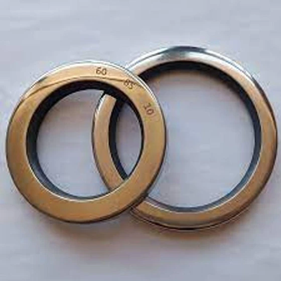 ptfe-double-seals-1.webp