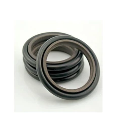 Hydraulic PTFE Seal