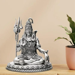 Anti Silver Idol