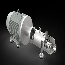 Sanitary Twin Screw Pump