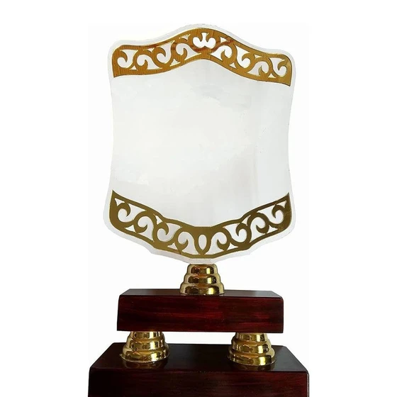 wooden-acrylic-trophy-2.webp