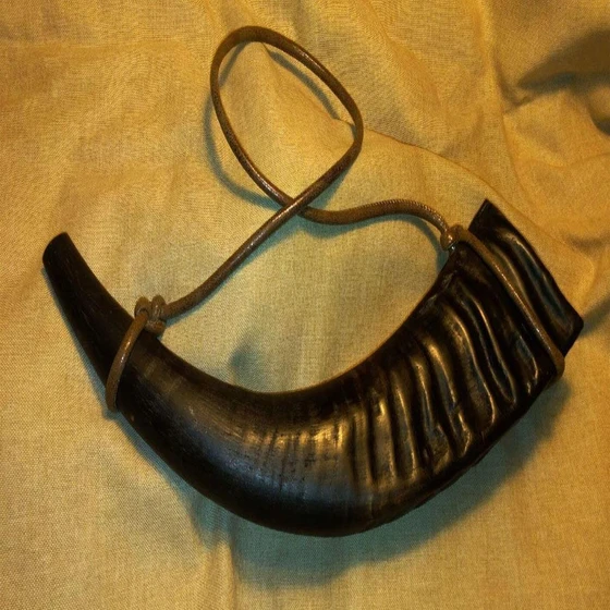buffalo-blowing-horn-2.webp
