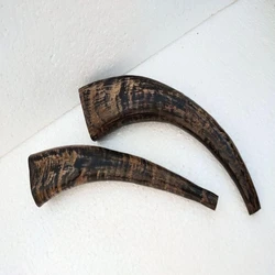 Buffalo Blowing Horn