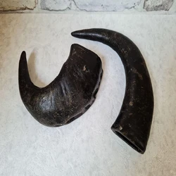 Natural Buffalo Horn