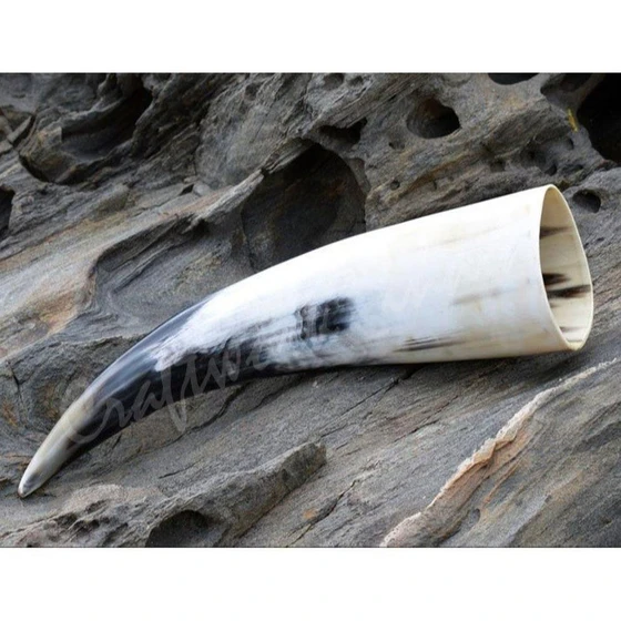 buffalo-drinking-horn-1.webp