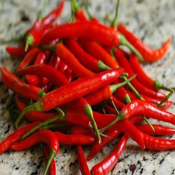 fresh-organic-chili-2.webp