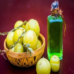 Natural Amla Oil