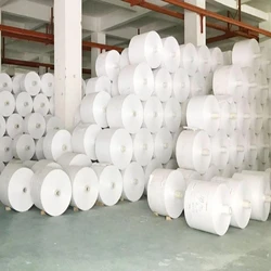 Fabrics PP Woven Roll