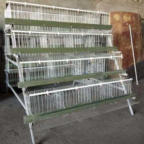 layer-poultry-cages-2.webp