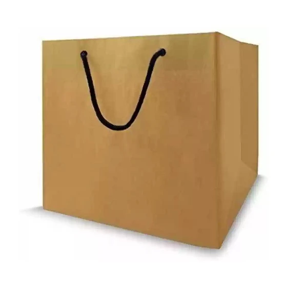 shopping-kraft-paper-bag-2.webp