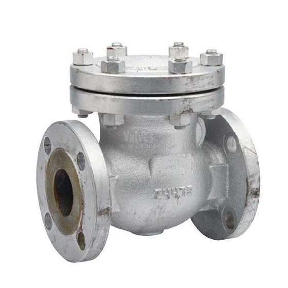 flange-type-check-valve-2.webp