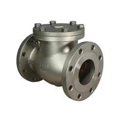 Swing Check Valve