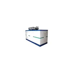 Diesel Escorts Generator