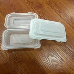 Container Thermoformed Tray