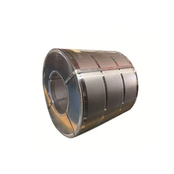 Cs Galvanized Coils