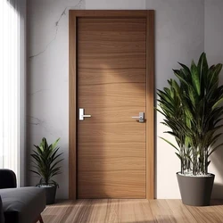 Laminated Designer Door 