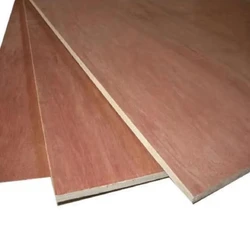 Brown Poplar Plywood