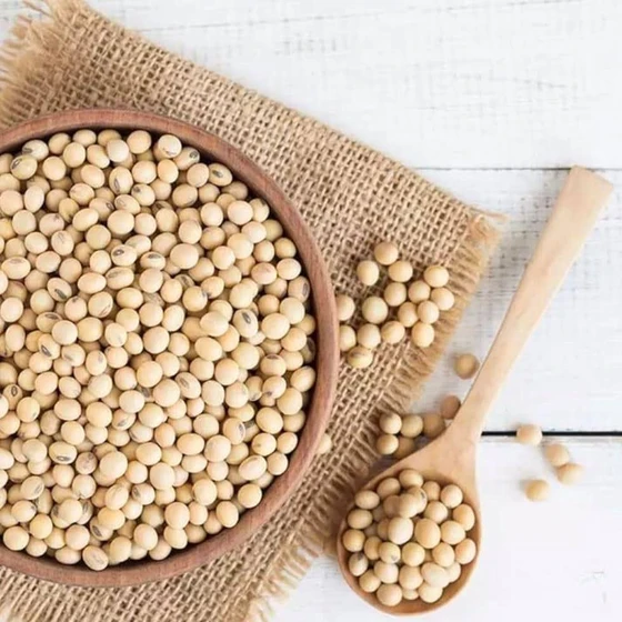 whole-soybean-seed-2.webp