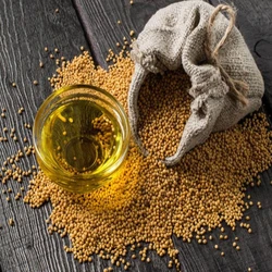 Mustard Essential Oil