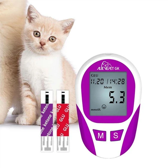cat-ketone-2.webp