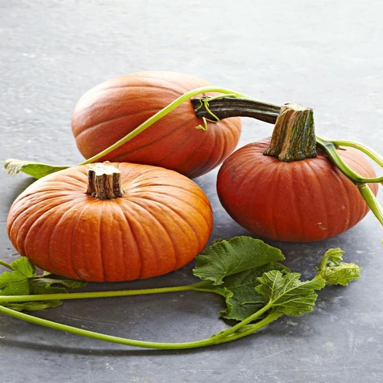 round-fresh-pumpkin-2.webp