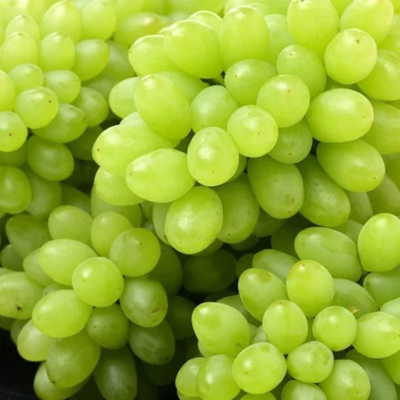 natural-fresh-grapes-2.webp