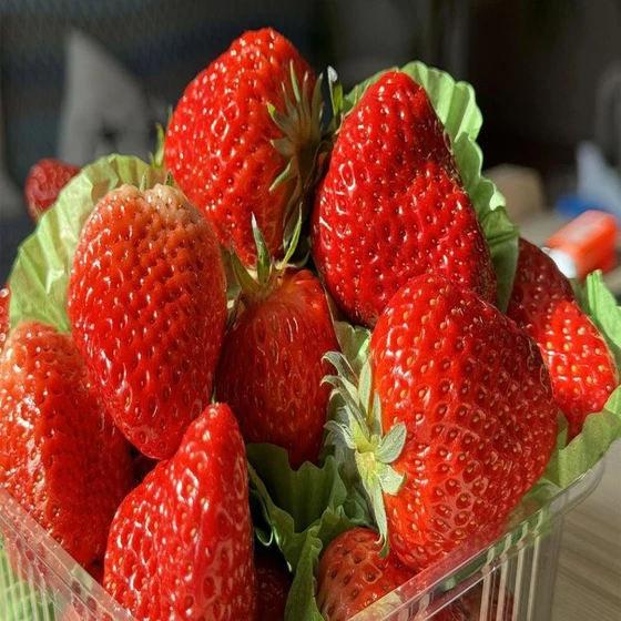 tasty-natural-strawberry-2.webp