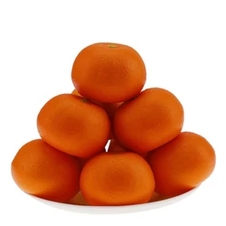 High Grade Orange Fruit