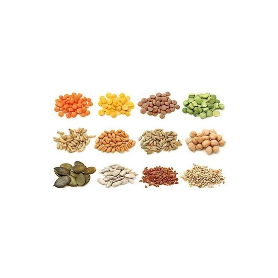 vegetable-seed-2.webp