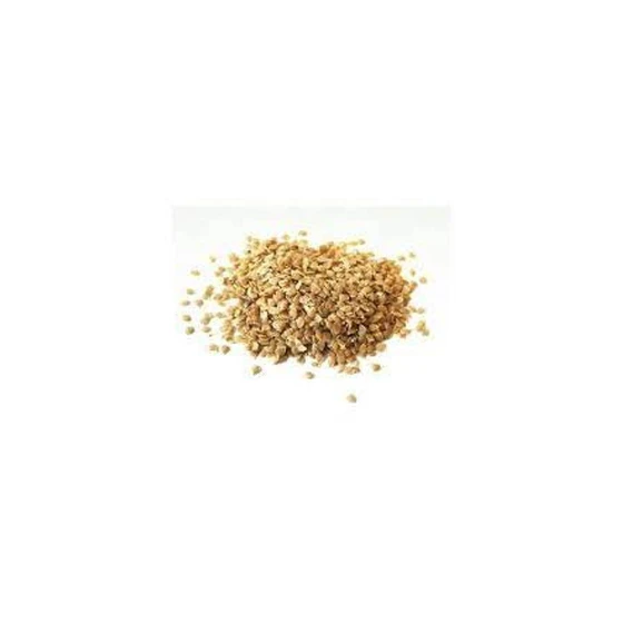 potato-seed-2.webp