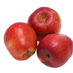Common Fresh Apple