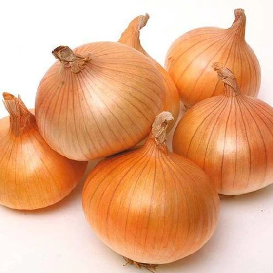 fresh-brown-onion-2.webp