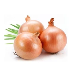 Fresh Brown Onion — Human consumption usage high quality